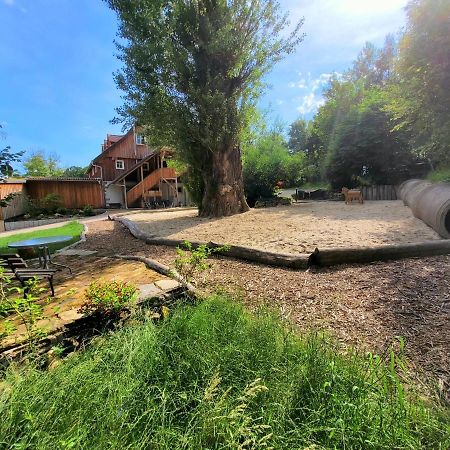 Pferdehof Am Burgsberg, Ferienzimmer, Monteurzimmer Seifhennersdorf Kültér fotó